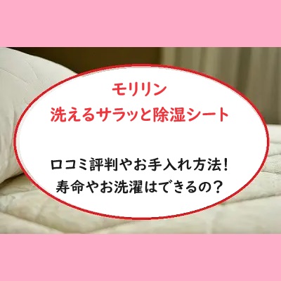 モリリン洗えるサラッと除湿シートの口コミ評判やお手入れ方法！寿命やお洗濯はできるの？