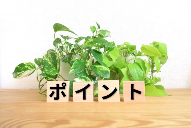 特徴　ポイント