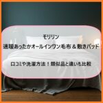 モリリン速暖あったかオールインワン毛布＆敷きパッドの口コミや洗濯方法！類似品と違いも比較