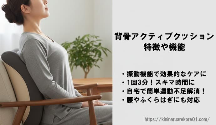 背骨アクティブクッションの特徴を解説してる図解