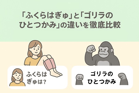 「ふくらはぎゅ」と「ゴリラのひとつかみ」の違いを徹底比較