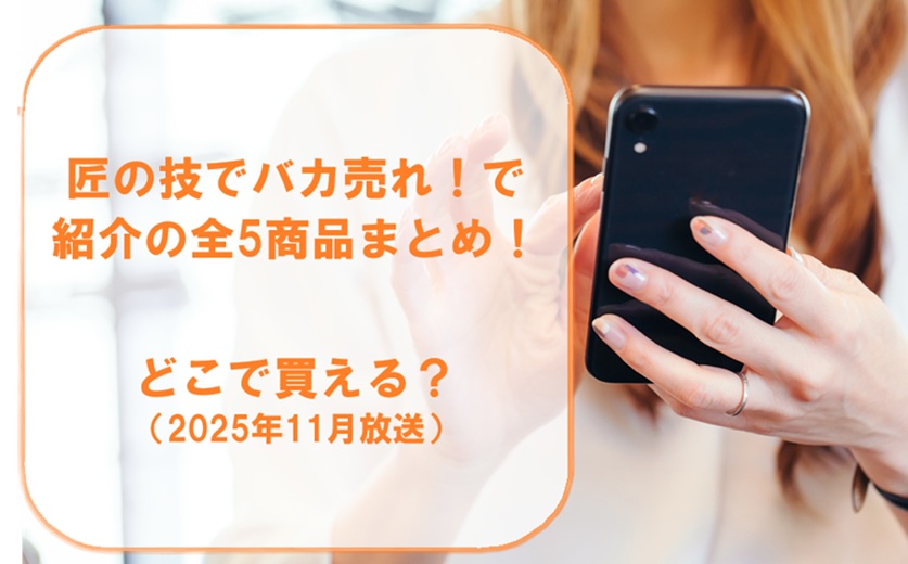 匠の技でバカ売れ!紹介された全5商品まとめ!どこで買える?(2025年11月放送)