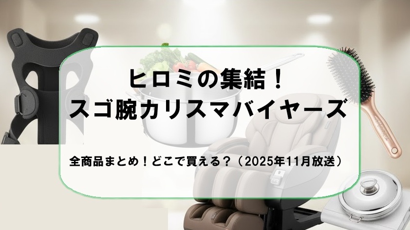 ヒロミの集結!スゴ腕カリスマバイヤーズ全商品まとめ!どこで買える?(2025年11月放送)