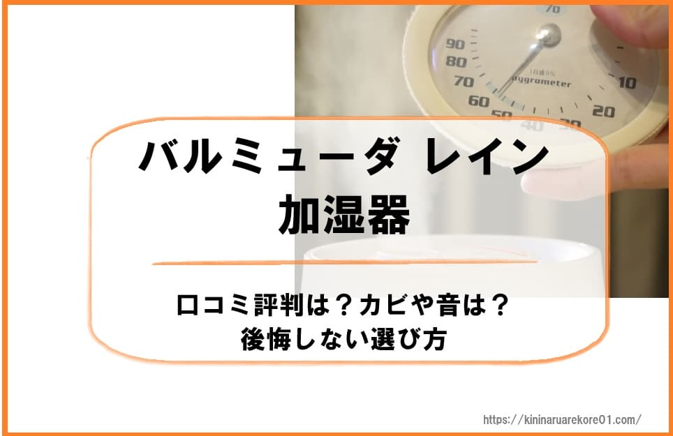 バルミューダ レイン加湿器の口コミ評判は？カビや音は？後悔しない選び方